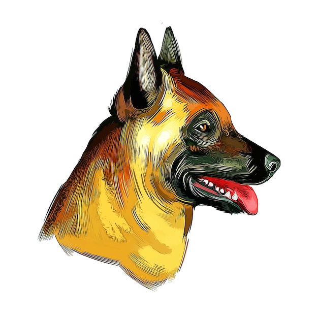 Ilustração em aquarela esboço de aquarela de raça de cão belga malinois mão desenhada