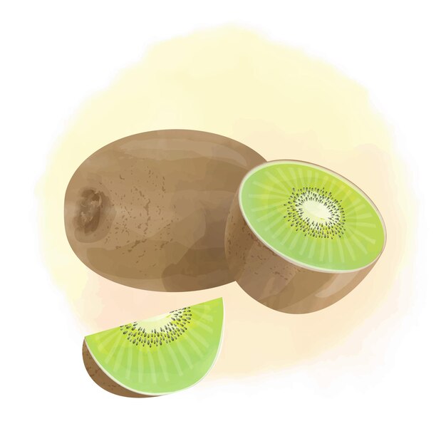 Ilustração em aquarela fruta kiwi fruta inteira e cortada ao meio