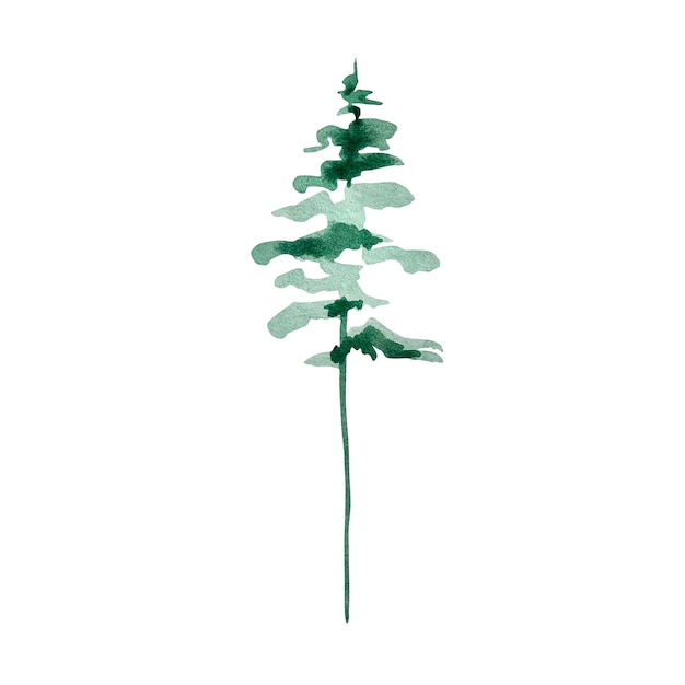 Vetor ilustração em aquarela vegetação de inverno, pinheiro alto verde isolado no fundo branco