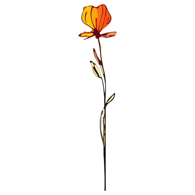 Vetor ilustração em vetor abstrato da flor do prado tinta à mão livre e elemento de design de estilo de cor isolado no fundo branco
