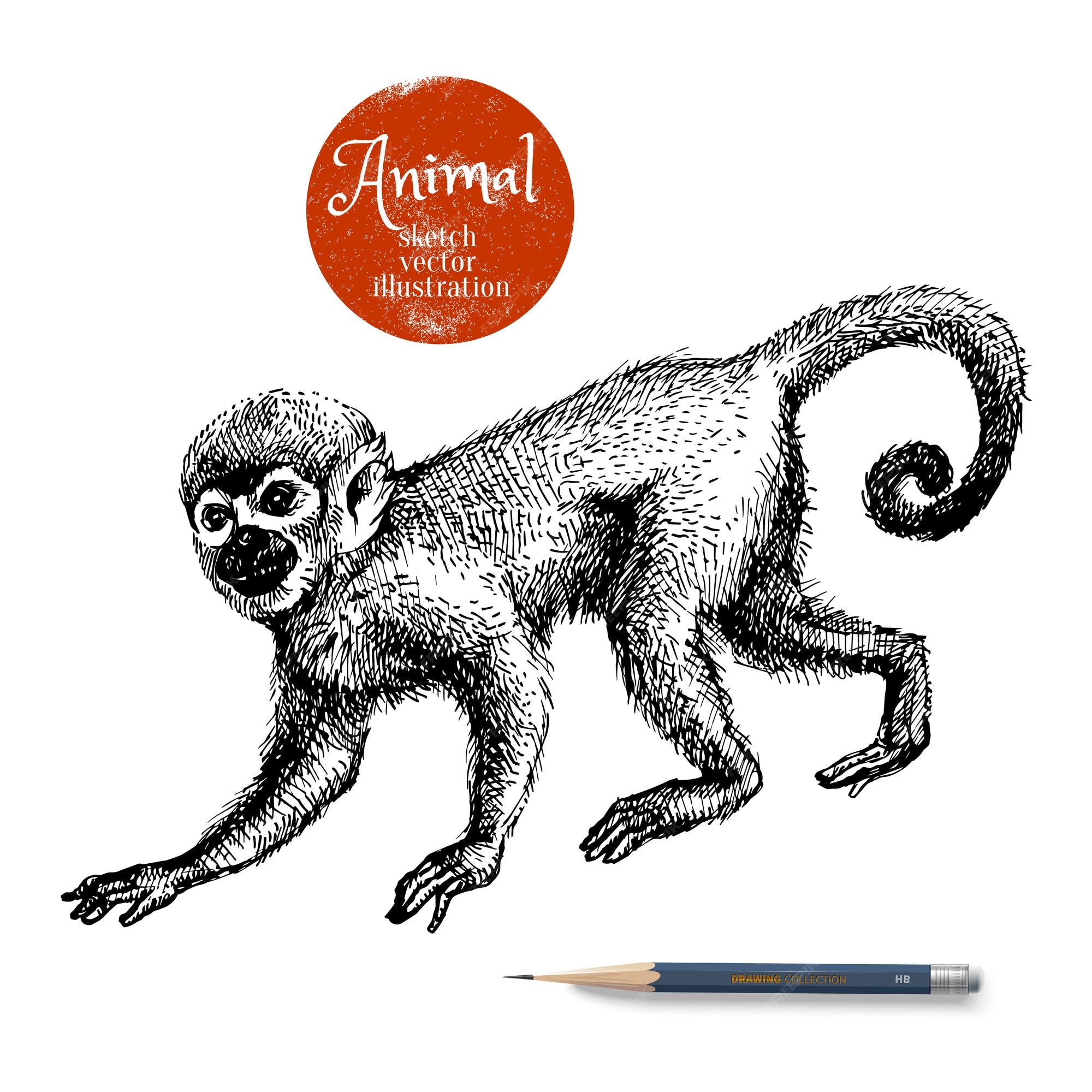 Macaco rabisco ilustração do vetor. Ilustração de desenho - 248025038