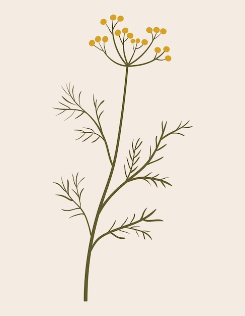 Vetor ilustração em vetor botânico vintage de flor silvestre amarela