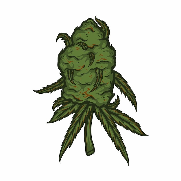 Ilustração em vetor de árvore de cannabis sativa