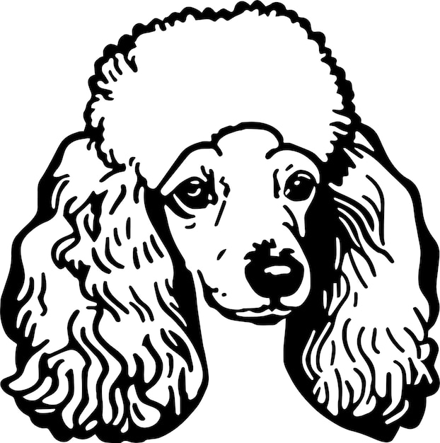 Vetor ilustração em vetor de cachorro de cabeça de poodle