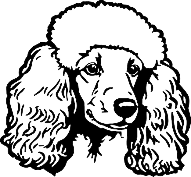 Vetor ilustração em vetor de cachorro de cabeça de poodle