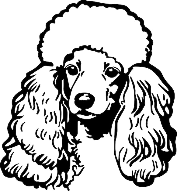 desenho de cachorro poodle para colorir. ilustração vetorial de contorno  7534268 Vetor no Vecteezy