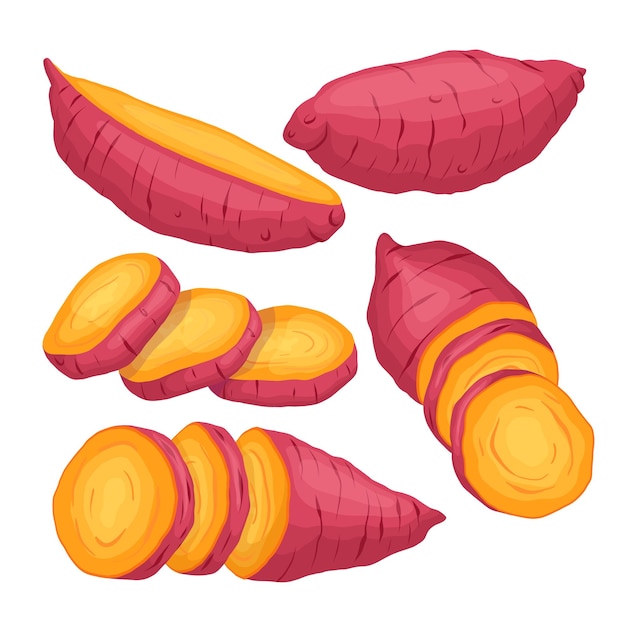 Ilustração em vetor de desenho animado conjunto de batata-doce laranja