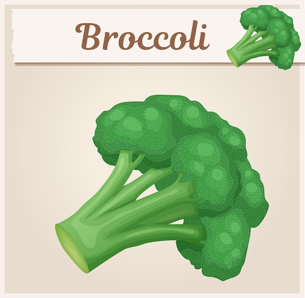 Ilustração em vetor de desenho animado ícone de vegetais de brócolis