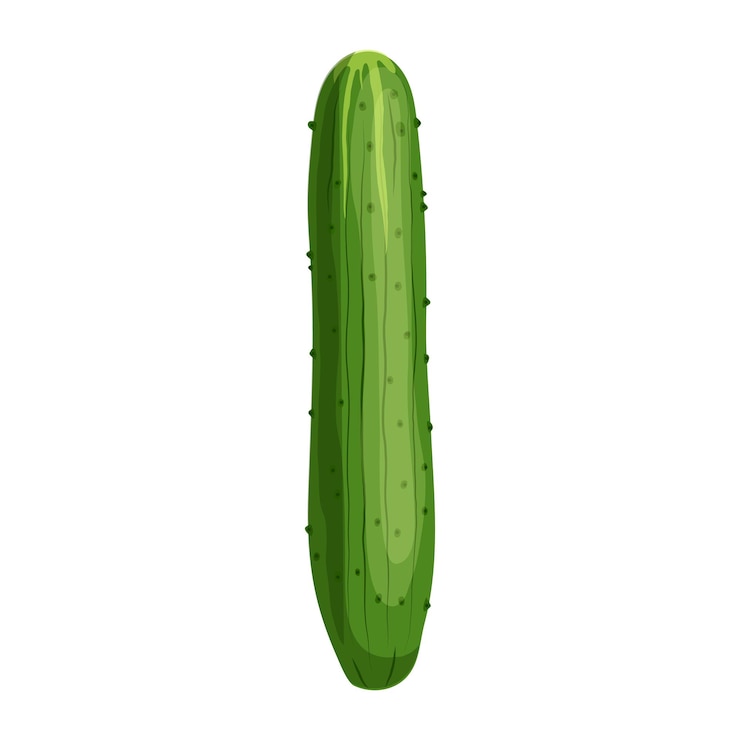 Vetor ilustração em vetor de desenhos animados de comida de pepino