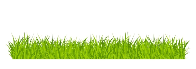 Ilustração em vetor de design de estilo plano de fronteira de campo de gramado verde isolada em fundo branco