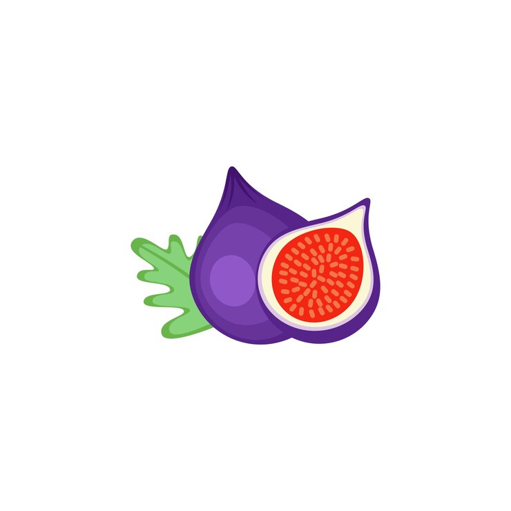 Vetor ilustração em vetor de design plano de fruta figo isolado em um fundo branco