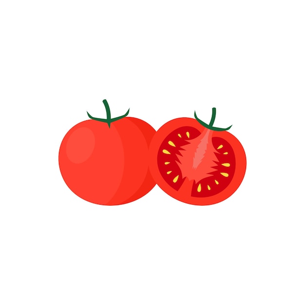Ilustração em vetor de design plano de frutas tomate isolado em um fundo branco