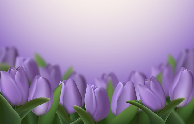 Ilustração em vetor de flores de tulipa 3d roxa realista
