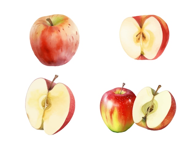 Ilustração em vetor de frutas maçãs em aquarela