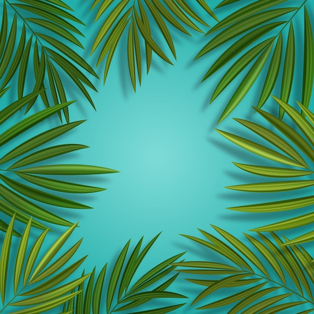 Ilustração em vetor de fundo tropical de folha de palmeira verde realista natural