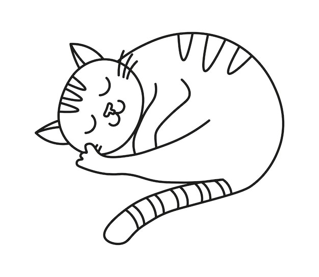 Desenhos Animados Gato Alongamento. Bonito Simples Desenho De Gato Branco,  Ilustração De Arte De Linha De Vetor. Royalty Free SVG, Cliparts, Vetores,  e Ilustrações Stock. Image 128176227