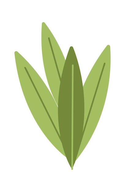 Vetor ilustração em vetor de ícone de folhas tropicais