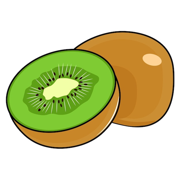 Vetor ilustração em vetor de kiwis