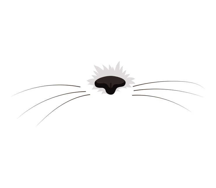 Vetor ilustração em vetor de nariz de gato