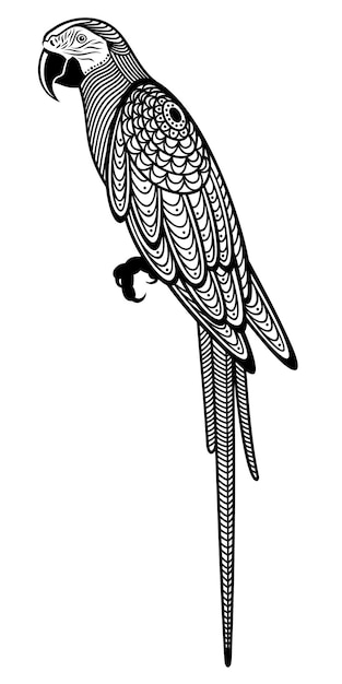 Vetor ilustração em vetor de papagaio sentado decorativo isolado na cor preta