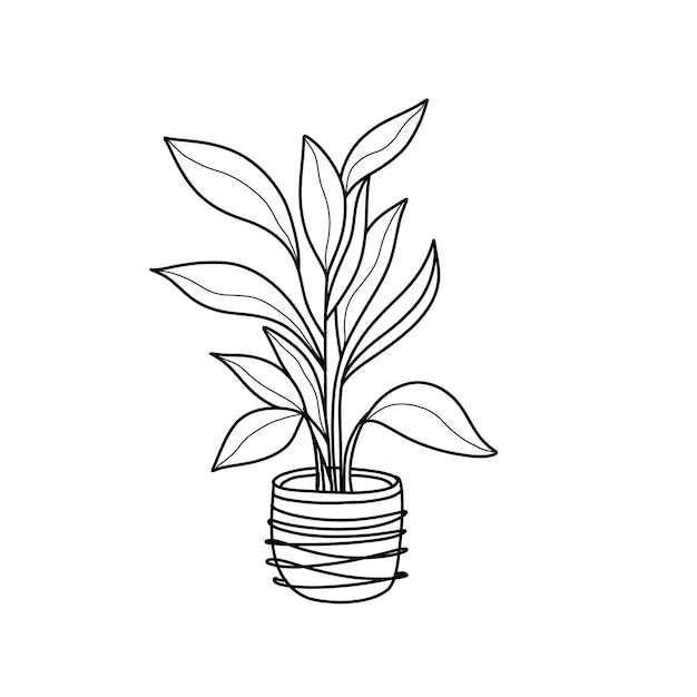 Ilustração em vetor de planta de casa de ficus crescendo em uma panela como decoração em casa em fundo branco