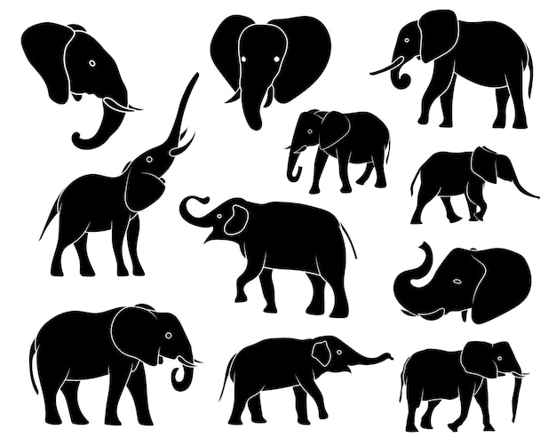 Ilustração em vetor de silhuetas de elefante em fundo branco