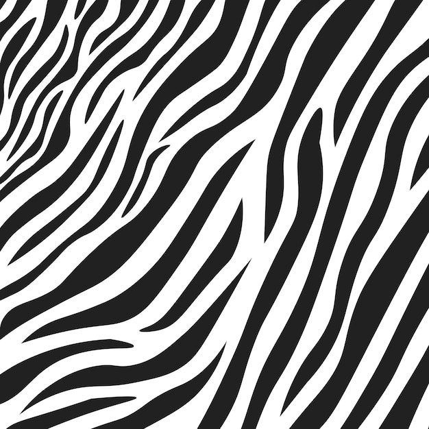 Ilustração em vetor de textura de pele de zebra preto e branco ondulada