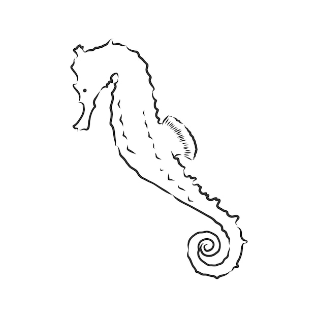 Ilustração em vetor de um cavalo-marinho ilustração em preto e branco de cavalo-marinho