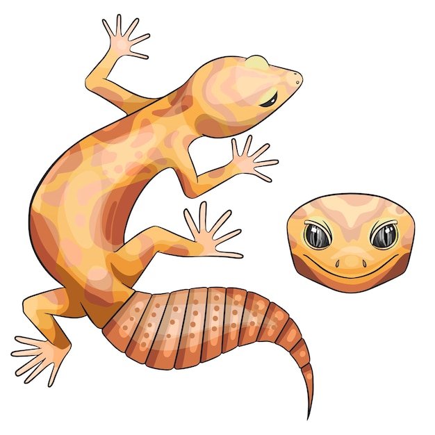 Vetor ilustração em vetor de um eublepharis leopard gecko tremper albino