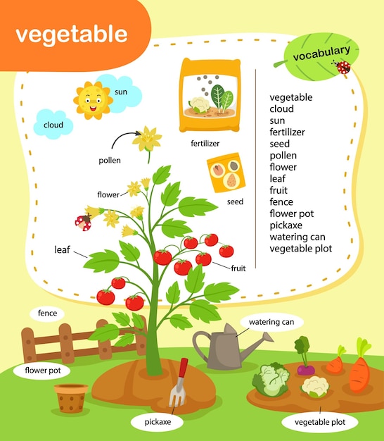 Ilustração em vetor de vegetais de vocabulário de educação