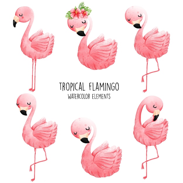 Ilustração em vetor de verão flamingo em aquarela