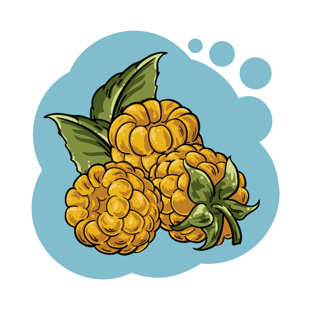 Ilustração em vetor do cloudberry