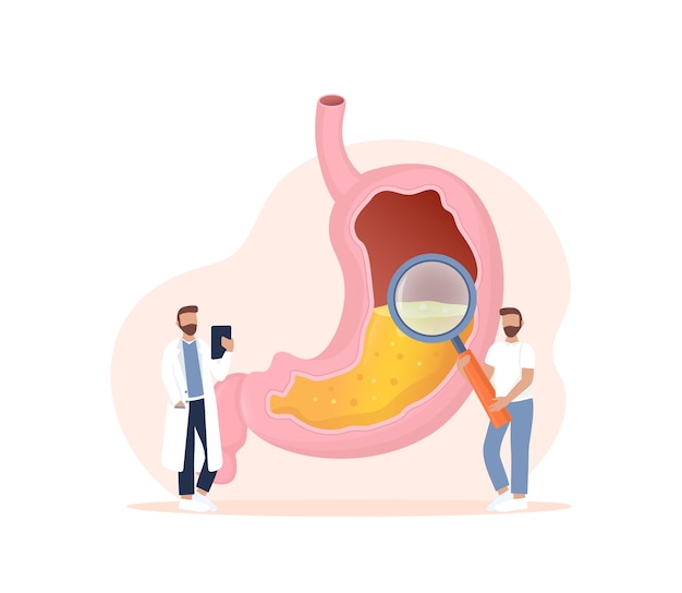 Ilustração em vetor dos desenhos animados ilustração em vetor plana com sistema digestivo de intestinos