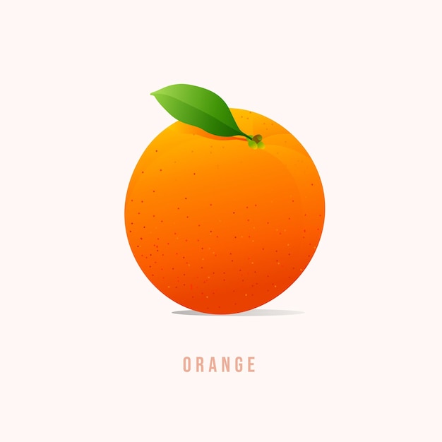 Ilustração em vetor estilo moderno de frutas laranja