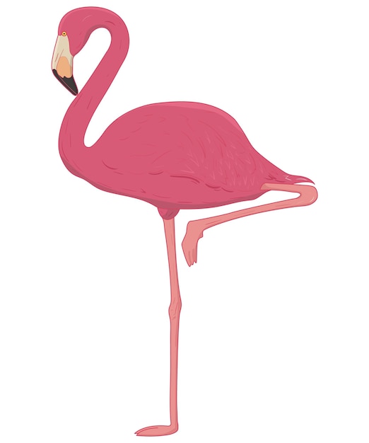 Ilustração em vetor flamingo rosa