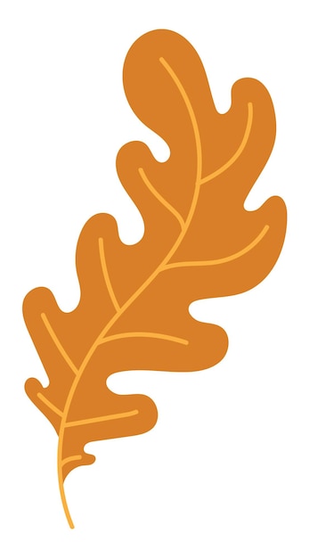 Ilustração em vetor folhas de outono laranja. Quadro de outono Halloween com folhas, ícone gráfico ou impressão isolada no fundo branco