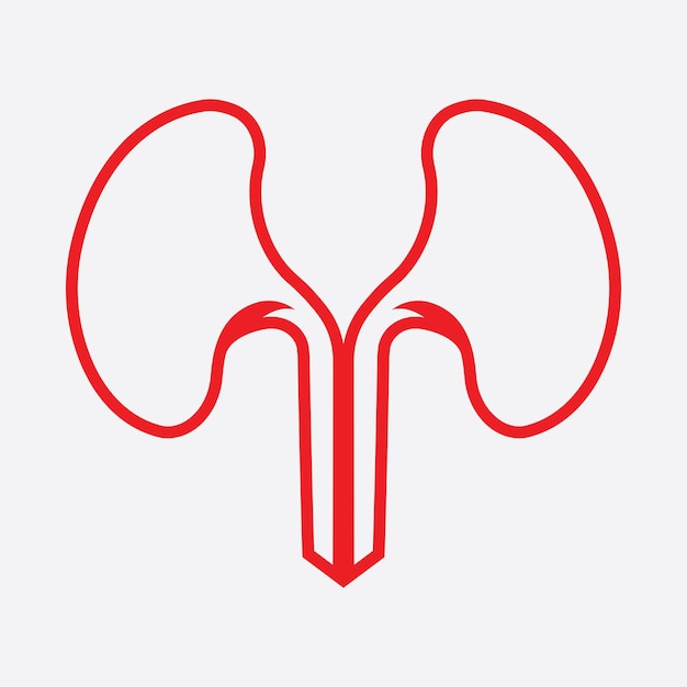 Ilustração em vetor ícone renal