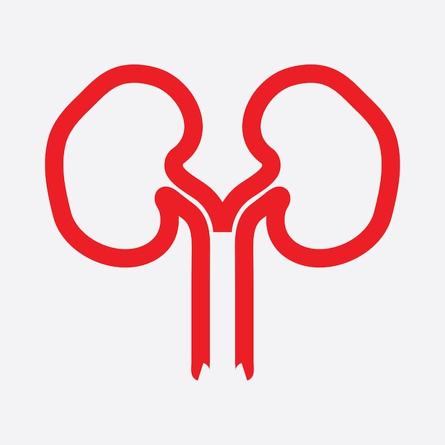 Ilustração em vetor ícone renal