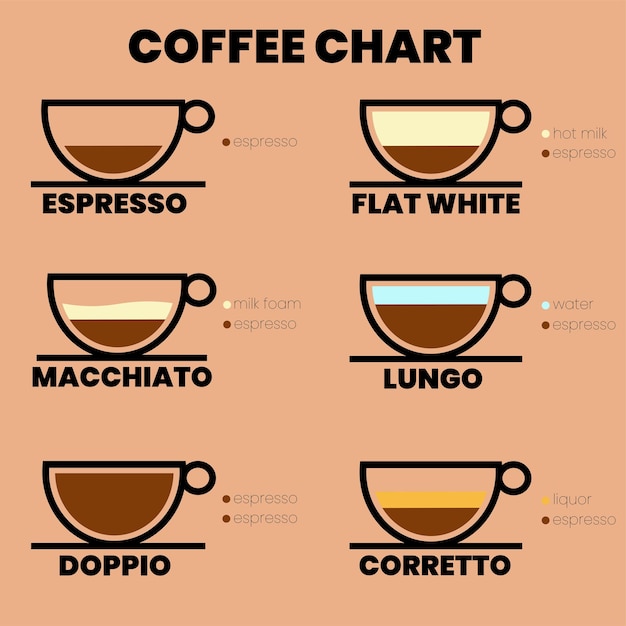 Vetor ilustração em vetor infográfico de tipos de café