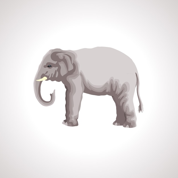 Ilustração em vetor isolado de elefante