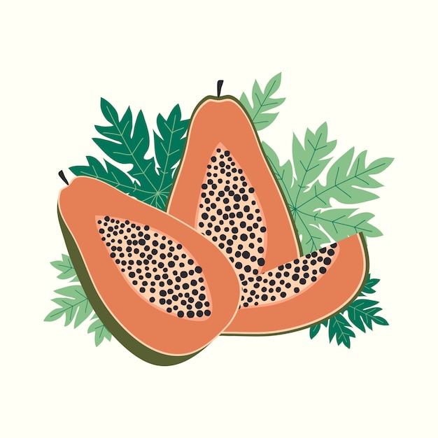 Ilustração em vetor mamão fruta