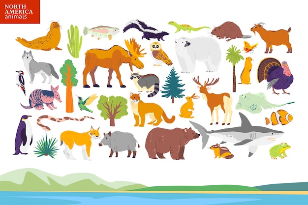 Ilustração em vetor plana da paisagem da américa do norte, animais, plantas: foca, urso, alce, coruja, veado, guaxinim, turquia, sequóia, abeto, carvalho, cacto. para infográficos, livro infantil, alfabeto, banner.