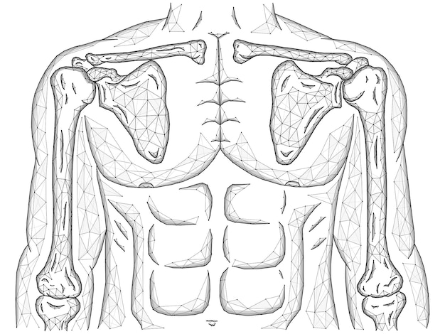 Ilustração em vetor poligonal das articulações do ombro e cotovelo, modelo do corpo humano feito de linhas e pontos, vista frontal.