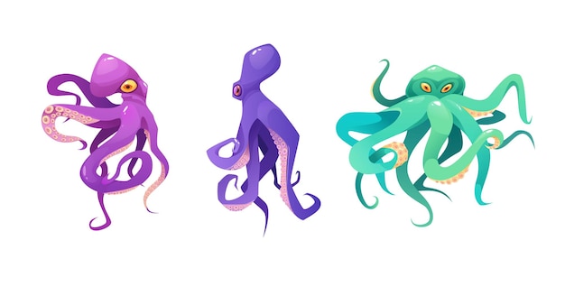 Vetor ilustração em vetor polvo roxo, rosa e verde dos desenhos animados. animal fofo do mar