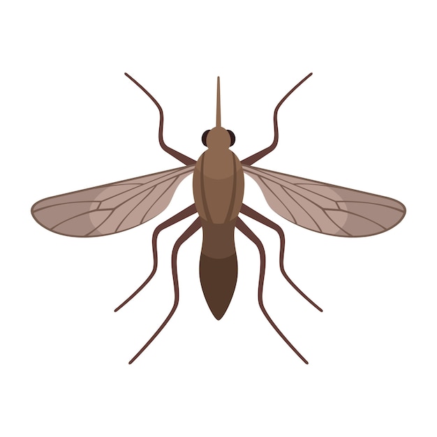 Ilustração em vetor realista estilo plano de inseto mosquito