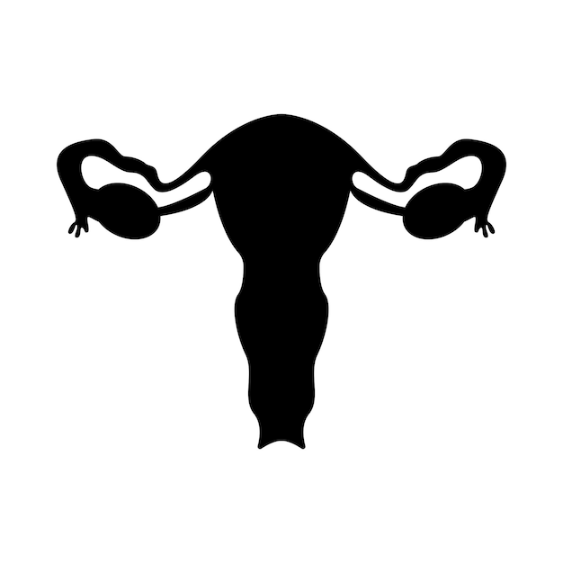 Ilustração em vetor silhueta de órgãos genitais femininos