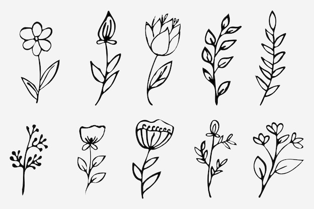 Ilustração floral botânica flower line art set vector illustration ou floral pattern background