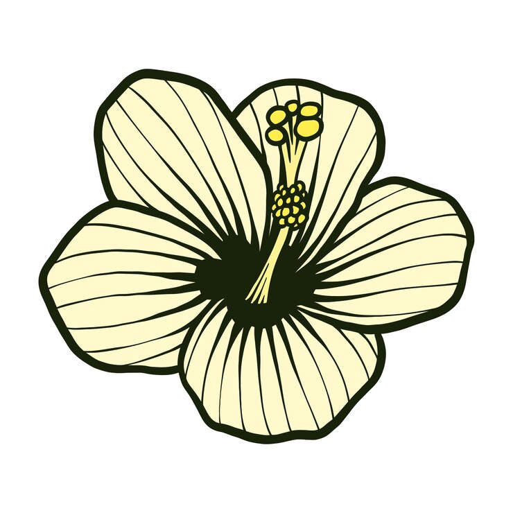 Vetor ilustração floral de hibisco