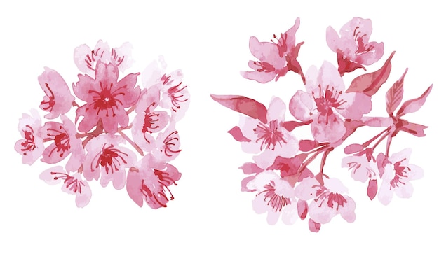 Ilustração floral em aquarela