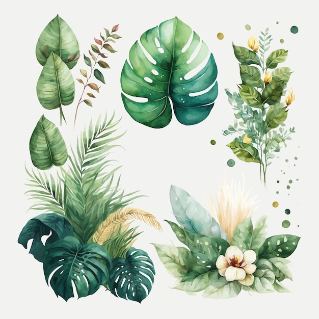 Vetor ilustração floral tropical em aquarela com folhas verdes modelo de elementos decorativos ilustração plana dos desenhos animados isolada no fundo branco